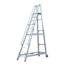 Lyte Aluminium 2.93m Silver 12 Step Podium Steps