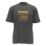 DEWALT 100 Year Graphic Short Sleeve T-Shirt Grey Medium 39-41" Chest