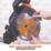 Refurb Evolution R255SMS 255mm  Electric Single-Bevel Sliding Multi-Material Mitre Saw 110V