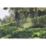 DEWALT DCMAS5713X1-GB
 54V 1 x 9Ah Li-Ion XR FlexVolt Brushless Cordless Split Shaft Grass Trimmer
