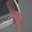 LickPro 2.5Ltr Red 06 Satin Water-Based Trim Paint
