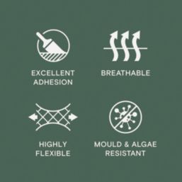 LickPro 5Ltr Smooth Green BS 14 C 39 Masonry Paint