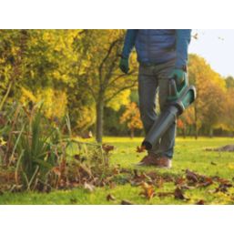 Bosch cordless leaf blower and online vacuum