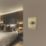 British General Nexus Metal 1-Gang 2-Way LED Dimmer Switch  Antique Brass