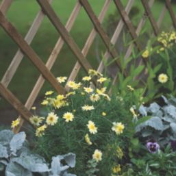 Forest Venice Rectangular Garden Planter Natural Timber 500mm x 1800mm x 1533mm