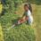 Flymo SimpliCut 450  45cm 18V 1 x 2.0Ah Li-Ion Power for All  Cordless Hedge Trimmer
