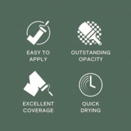 LickPro  5Ltr Green BS 14 C 39 Vinyl Matt Emulsion  Paint