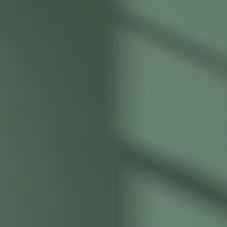 LickPro Max+ 5Ltr Green BS 14 C 39 Eggshell Emulsion  Paint