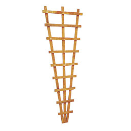 Forest  Softwood Fan Trellis 2' x 6' 4 Pack