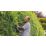 Bosch Universal  55cm 18V Li-Ion Power for All Brushless Cordless Hedge Trimmer - Bare