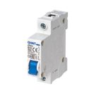 Chint EBG 10A SP B Curve  MCB