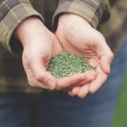 Westland PureGreen Lawn Seed 20m² 0.6kg