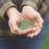 Westland PureGreen Lawn Seed 20m² 0.6kg