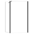 Triton Neo  Frameless Showerwall & Swivel Panel Black 800mm x 2000mm