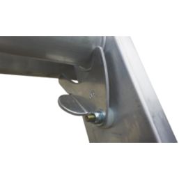 Lyte  3.86m Extension Ladder