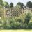 Forest Hamburg Lattice Curved Top Garden Screens 6' x 6' 3 Pack