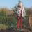 Webb WEV20TILB2 20cm 20V 1 x 2.0Ah Li-Ion   Cordless Tiller
