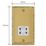 Varilight  1-Gang Dual Voltage Shaver Socket 115V Georgian Brass with White Inserts