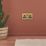 Arlec  13A 2-Gang SP Switched Socket Gold  with Black Inserts