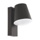 Eglo  Caldiero  Outdoor Wall Light Silver