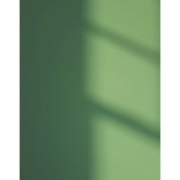LickPro  5Ltr Green 07 Matt Emulsion  Paint