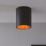 Eglo Polasso LED Ceiling Light Black / Copper 3.3W 340lm