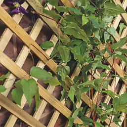 Forest Trellis Rectangular Garden Planter Natural Timber 800mm x 400mm x 1370mm