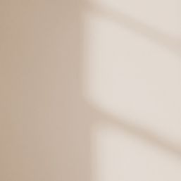 LickPro Max+ 1Ltr Taupe 03 Matt Emulsion  Paint