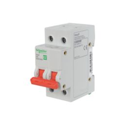 Schneider Electric Easy9 63A DP  Switch Disconnector