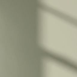 LickPro Max+ 5Ltr Green BS 12 B 21 Matt Emulsion  Paint