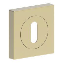 Cooke & Lewis Lormel Standard Escutcheon (Pair) Satin Brass 52mm