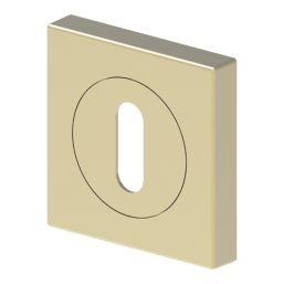 Cooke & Lewis Lormel Standard Escutcheon (Pair) Satin Brass 52mm