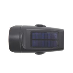 Essentials  Outdoor LED Solar-Powered Spike Light Black 15lm