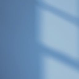 LickPro  5Ltr Blue 10 Vinyl Matt Emulsion  Paint