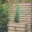 Forest  Rectangular Long Linear Planter Natural Wood 1200mm x 400mm x 440mm