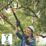 Bosch AdvancedPrune 18V-45 18V Li-Ion Power for All Cordless Bypass Pruner - Bare