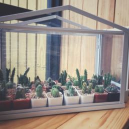 Radmat Building Materials Polycarbonate Clear Glazing Sheet 1240mm x 620mm x 4mm 3 Pack