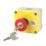 Hylec 1DE.01.03AG-SF Double Pole Mushroom Head Push-Button Isolator Switch NO/NC