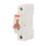 Contactum Defender 63A SP C Curve  MCB