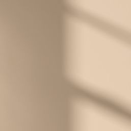 LickPro Max+ 5Ltr Beige 07 Matt Emulsion  Paint