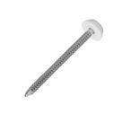 FloPlast Nails White Head A4 Stainless Steel Shank 3mm x 50mm 100 Pack