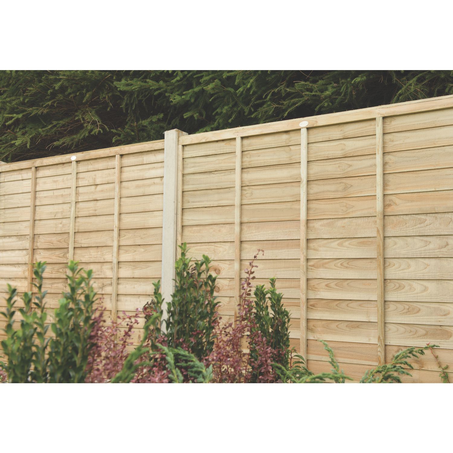 Forest Super Lap Fence Panels Natural Timber 6' x 6' Pack of 5 (4200K)