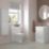 Floorstanding Vanity Unit & Basin Gloss White 500mm x 460mm x 840mm
