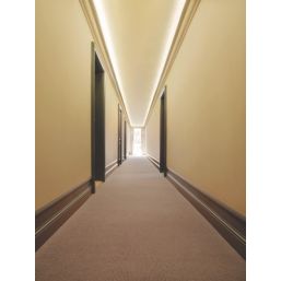 Sculptured Coving 165mm x 2.4m 6 Pack