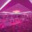 Robus Vegas Express 1m LED Strip Light 14W 610lm/m