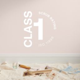 LickPro Max+ 2.5Ltr Pink 01 Matt Emulsion  Paint