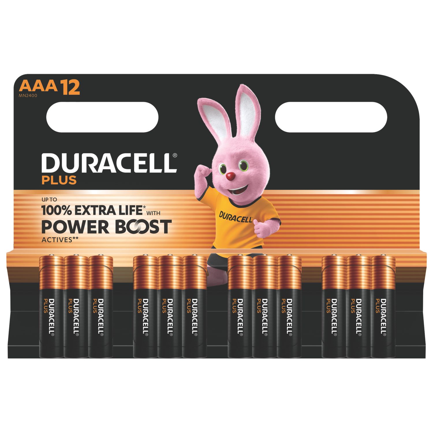 Duracell Plus AAA 1.5V Alkaline Battery 12 Pack (423AG)