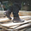 DeWalt Bolster   Safety Boots Brown Size 11