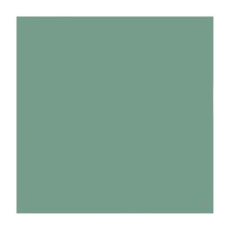 Ronseal 750ml Sage Satin Wood Paint