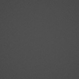 Essentials Chervil Round Cabinet Knob Brushed Nickel 32mm 2 Pieces